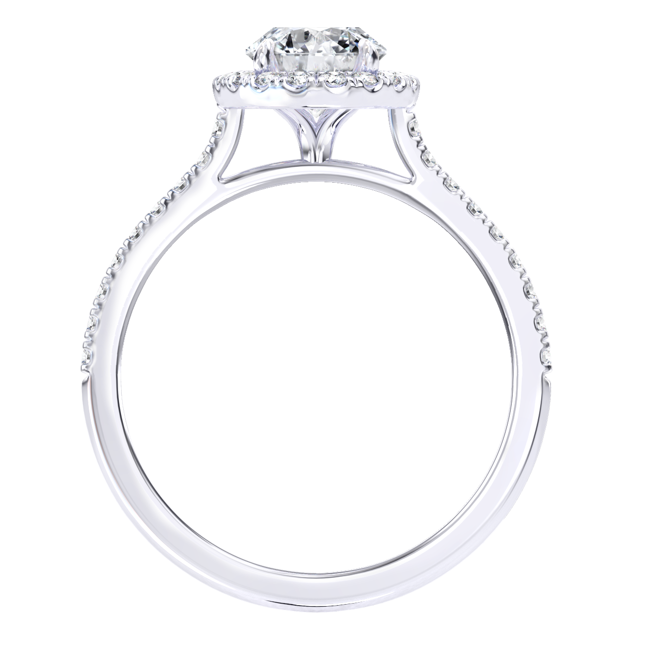 Franci engagement ring in white gold