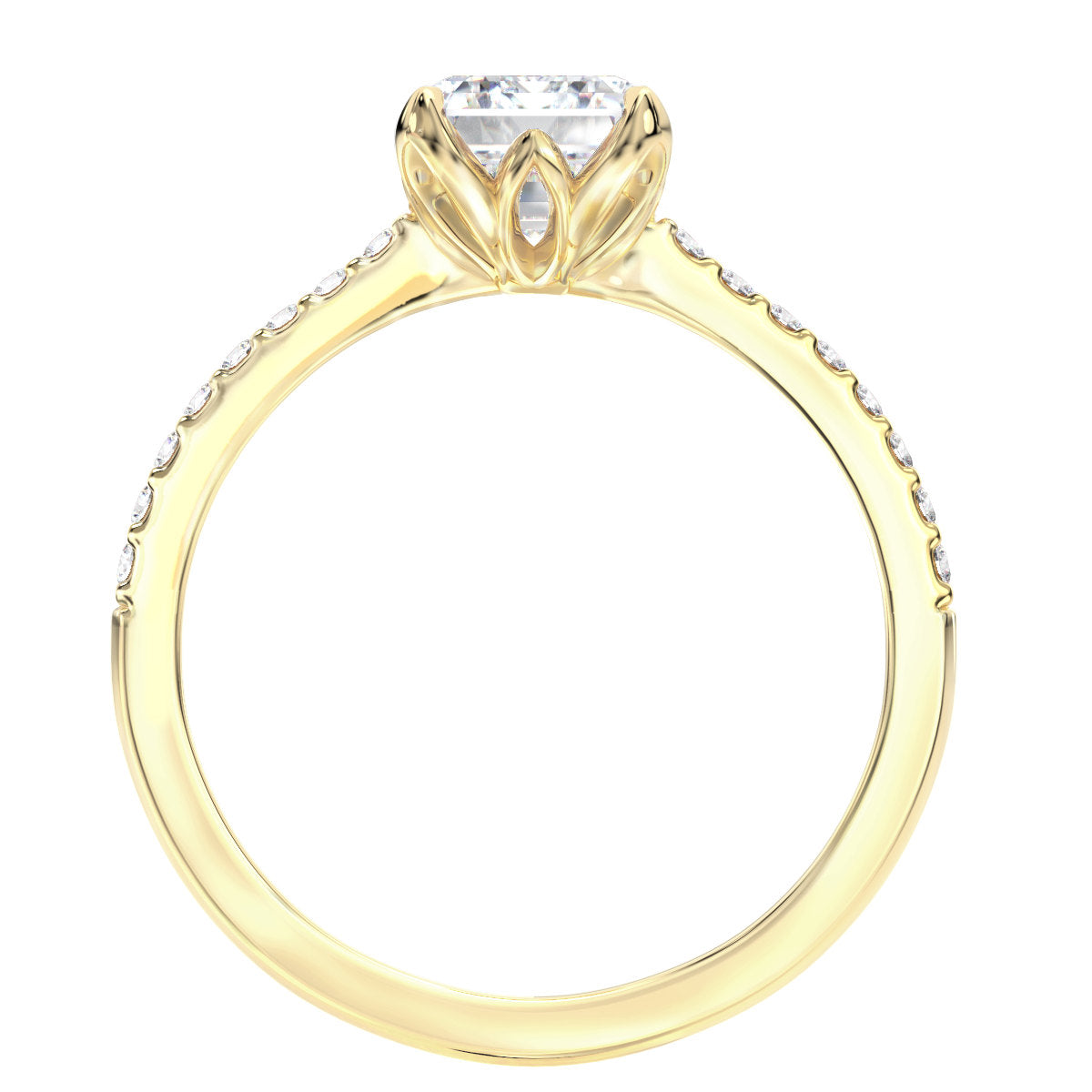 Arabella engagement ring in yellow gold